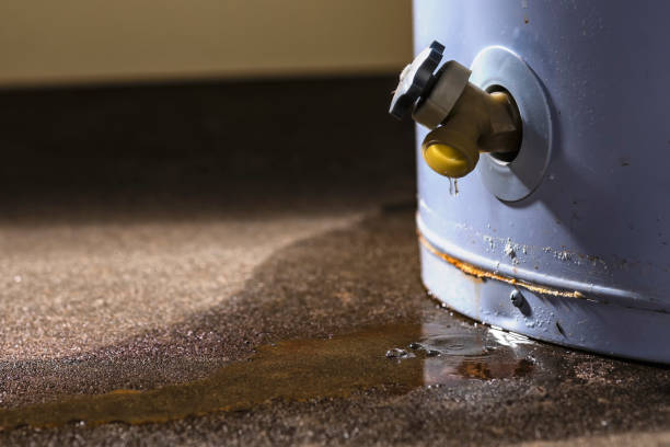 Best Sewage cleanup and water damage restoration  in Olympia, WA