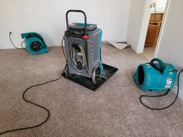 Best 24/7 water damage repair  in Olympia, WA