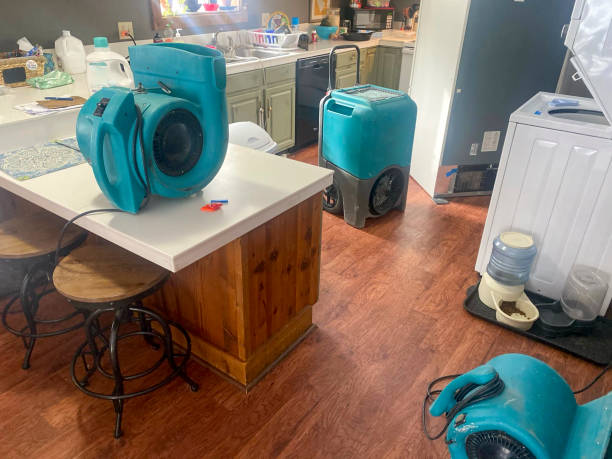 Best Fire Damage Restoration  in Olympia, WA