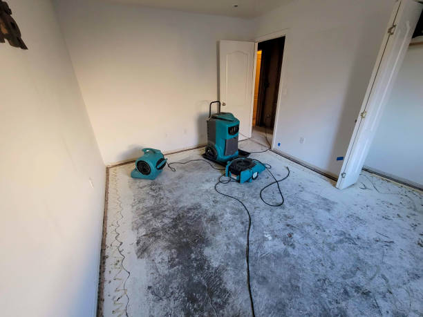 Local water damage restoration in Olympia, WA