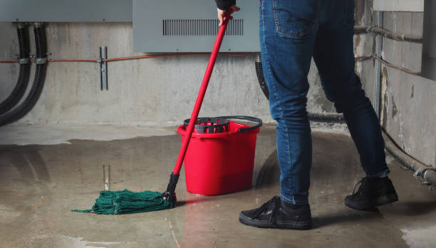 Best Emergency water damage restoration  in Olympia, WA