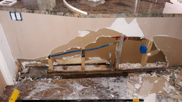 Best Basement water damage restoration  in Olympia, WA
