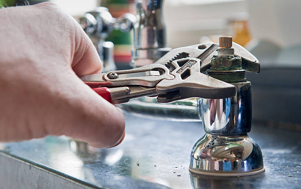 Best Professional water damage repair  in Olympia, WA