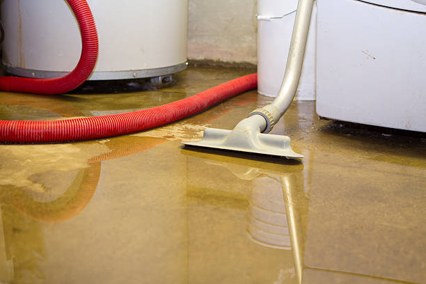 Trusted Olympia, WA Water damage restoration Experts