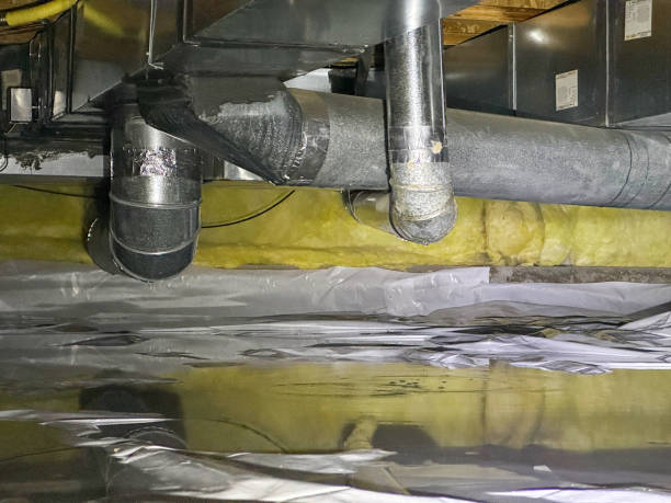Best Residential water damage restoration  in Olympia, WA