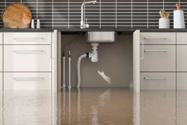 Best Commercial water damage restoration  in Olympia, WA