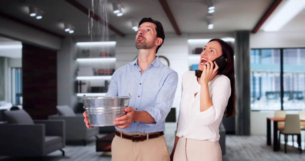 Best Flood restoration services  in Olympia, WA