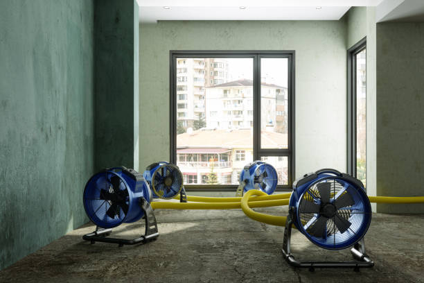 Best Water damage restoration process  in Olympia, WA