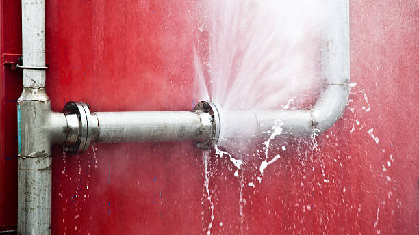 Carpet water damage restoration in Olympia, WA